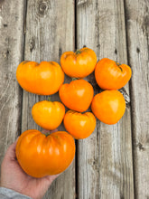 Load image into Gallery viewer, TOMATO - Orange Strawberry