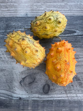 Load image into Gallery viewer, JELLY MELON