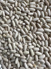 Load image into Gallery viewer, BEAN, BUSH - Earliserve