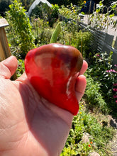 Load image into Gallery viewer, PEPPER (SWEET) - Lesya