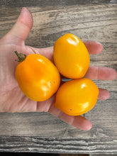 Load image into Gallery viewer, TOMATO - Lemon