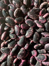 Load image into Gallery viewer, BEAN, POLE - Scarlet Runner