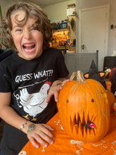 Load image into Gallery viewer, PUMPKIN - Field