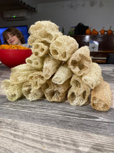 Load image into Gallery viewer, Luffa sponge