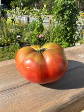 Load image into Gallery viewer, TOMATO - Frankenstein Black