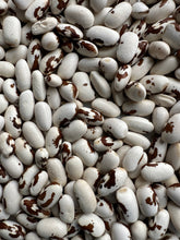 Load image into Gallery viewer, BEAN, BUSH - Golden Wax