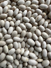 Load image into Gallery viewer, BEAN, BUSH - Roma II