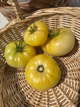 Load image into Gallery viewer, TOMATO - Beaute Blanche Du Canada