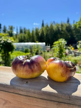 Load image into Gallery viewer, TOMATO - Sart Roloise