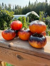 Load image into Gallery viewer, TOMATO - Alice's Dream