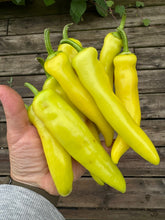 Load image into Gallery viewer, PEPPER (HOT) - Hungarian Hot Wax