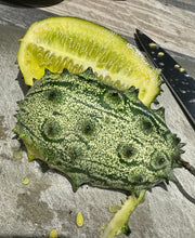 Load image into Gallery viewer, JELLY MELON