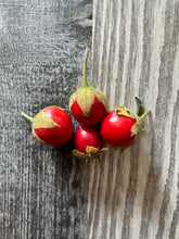 Load image into Gallery viewer, TOMATO - Litchi