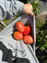 Load image into Gallery viewer, TOMATO - Hungarian Heart