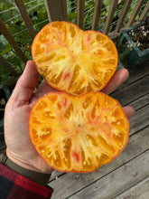 Load image into Gallery viewer, TOMATO - Mr. Stripey