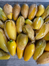 Load image into Gallery viewer, TOMATILLO - Queen of Malinalco