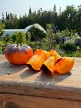 Load image into Gallery viewer, TOMATO - Alice's Dream