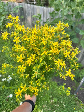Load image into Gallery viewer, ST. JOHN'S WORT