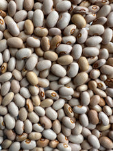 Load image into Gallery viewer, BEAN, BUSH - Red Swan