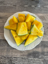 Load image into Gallery viewer, WATERMELON - Yellow Petite