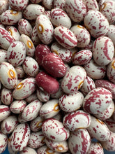 Load image into Gallery viewer, BEAN, POLE - Borlotti