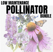 Load image into Gallery viewer, LOW-MAINTENANCE POLLINATOR BUNDLE