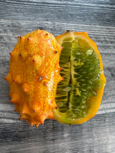 Load image into Gallery viewer, JELLY MELON