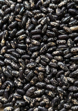 Load image into Gallery viewer, BEAN, BUSH - Tendergreen