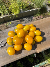 Load image into Gallery viewer, TOMATO - Ildi