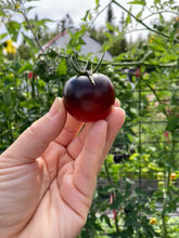 Load image into Gallery viewer, TOMATO - Dancing With Smurfs