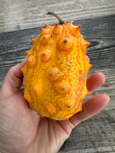 Load image into Gallery viewer, JELLY MELON