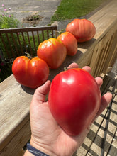 Load image into Gallery viewer, TOMATO - Hungarian Heart