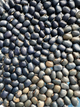 Load image into Gallery viewer, BEAN, POLE - San Bernardo Blue