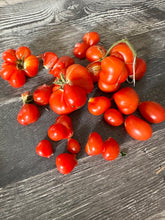 Load image into Gallery viewer, TOMATO - Reisetomate