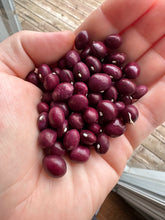Load image into Gallery viewer, BEAN, POLE - True Red Cranberry