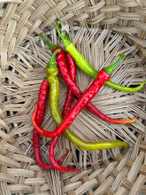 Load image into Gallery viewer, PEPPER (SWEET) - Corbaci