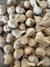Load image into Gallery viewer, GARLIC