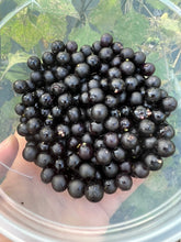 Load image into Gallery viewer, SUNBERRY