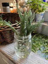Load image into Gallery viewer, YARROW - White