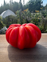 Load image into Gallery viewer, TOMATO - Mushroom Basket