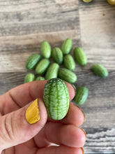 Load image into Gallery viewer, CUCAMELON