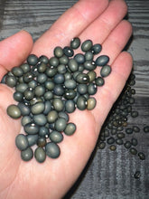 Load image into Gallery viewer, BEAN, POLE - Fort Portal Jade