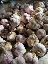 Load image into Gallery viewer, GARLIC