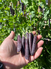 Load image into Gallery viewer, PEA - Purple Mist