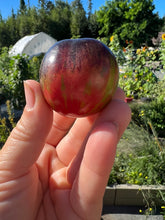 Load image into Gallery viewer, TOMATO - Black Strawberry