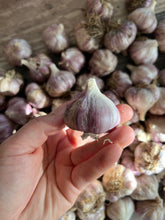 Load image into Gallery viewer, GARLIC