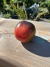 Load image into Gallery viewer, TOMATO - Black Strawberry