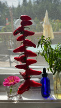 Load image into Gallery viewer, PEPPER (HOT) - Nono's Heirloom Mix