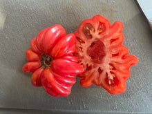 Load image into Gallery viewer, TOMATO - Mushroom Basket