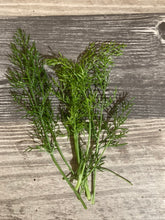 Load image into Gallery viewer, FENNEL